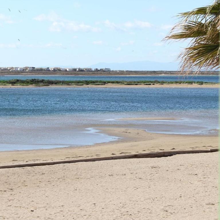 Front de plage du Grazel - Piscine et parking GN500-014 - Maison 3 Chambres - 8