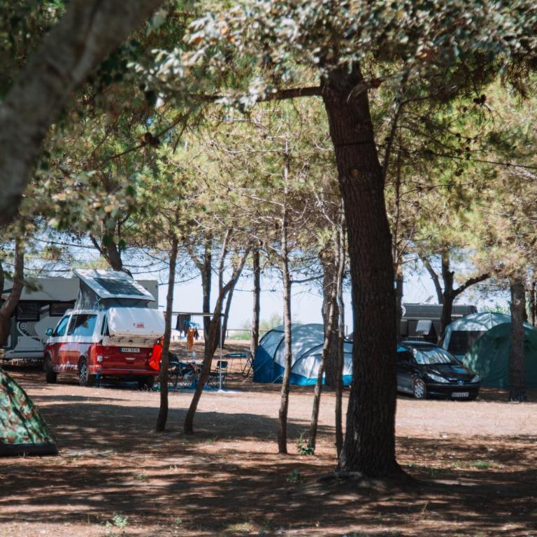 MCM Camping - Karavan - 6
