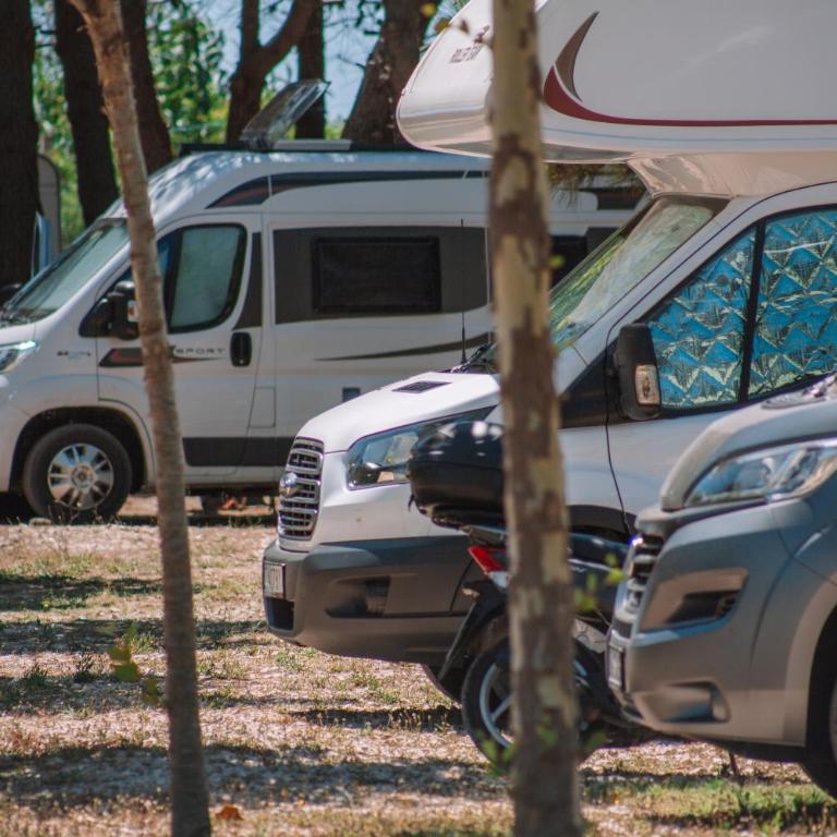 MCM Camping - Karavan - 6
