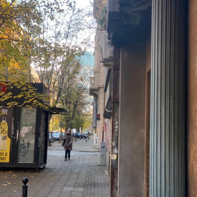 Cute and cozy - Apartman sa 1 Spavaćom Sobom - 21