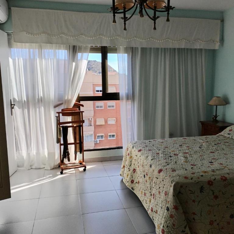 Rooms in Apartment - Large Double Room - 2