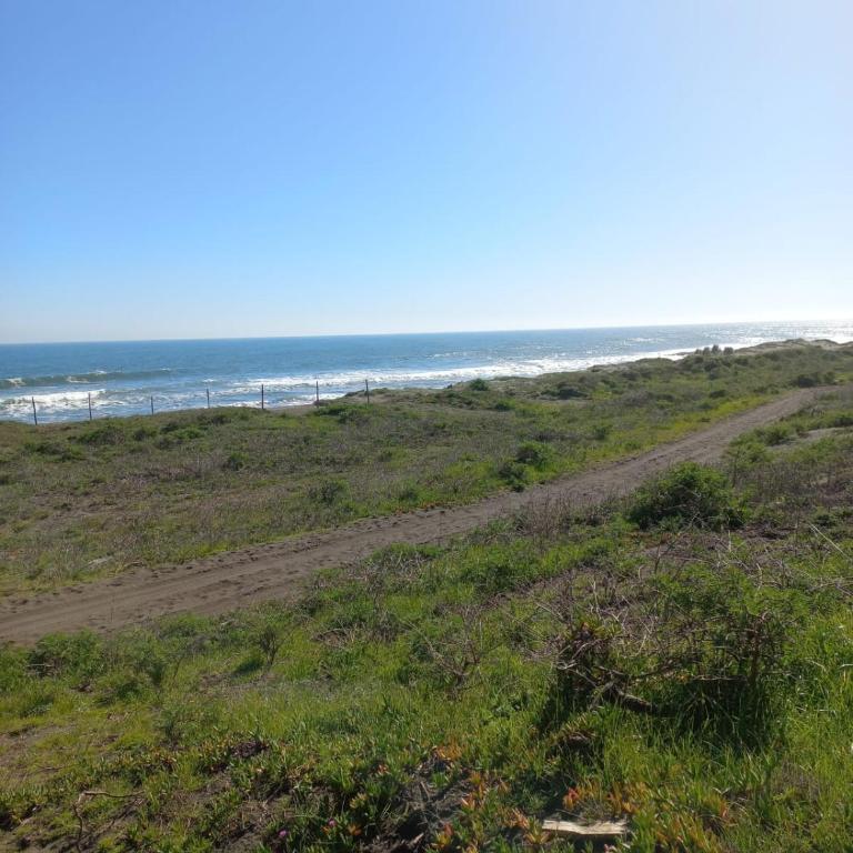 EKILIBRE Surf Eco Hostal - Vacation Home - 17
