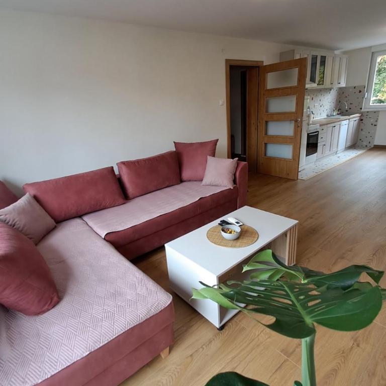 Apartman VIDA - Apartman sa 1 Spavaćom Sobom - 1