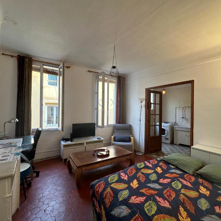 Chez Monique - Appartement T2 au cœur du centre ville historique - proche Mairie et Cardeurs - Apartment mit 1 Schlafzimmer - 19