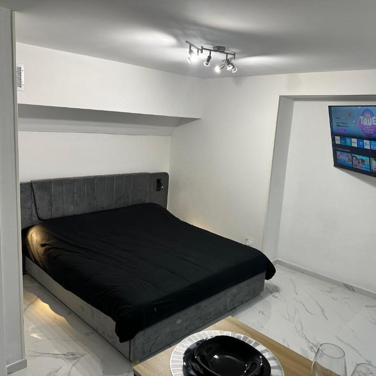 IMPERIAL suite COLOSSEUM - Appartamento con 1 Camera da Letto - 16