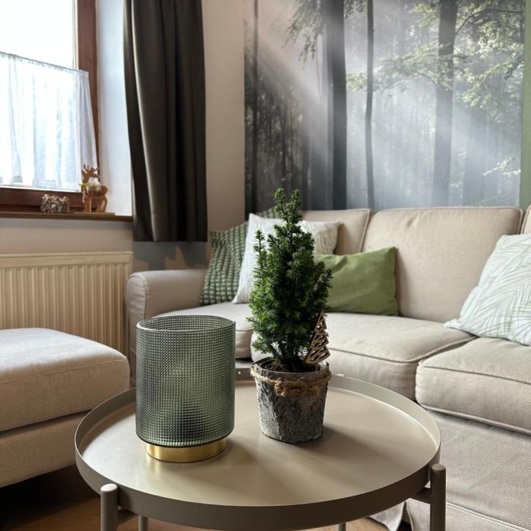 Landhaus Knaus - Apartment mit Blick auf die Berge - 2