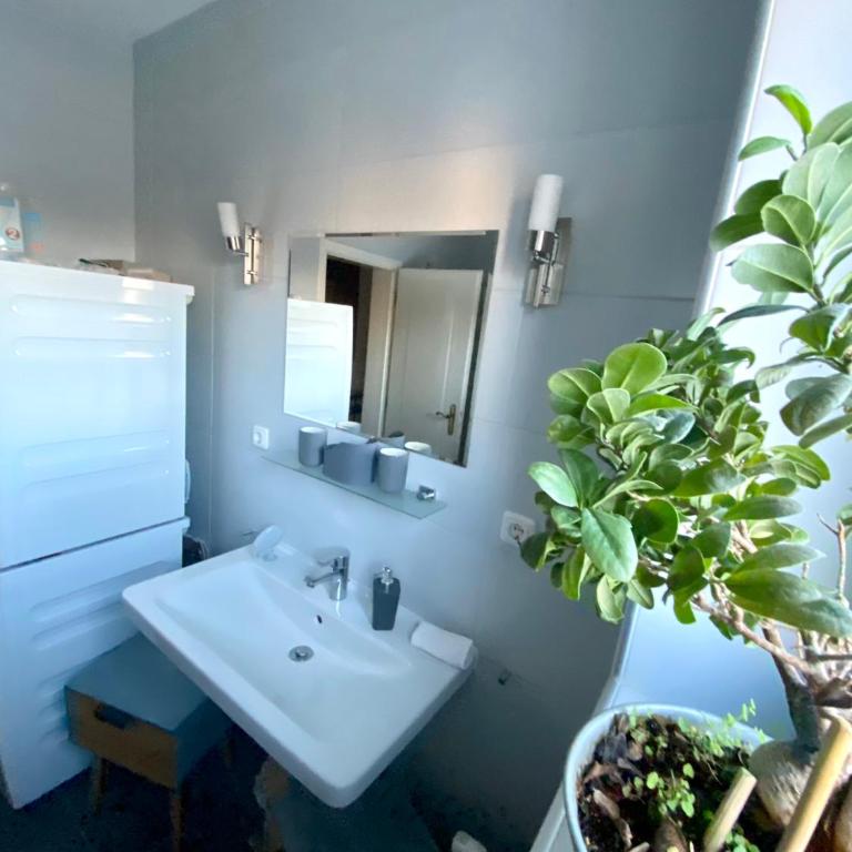 Big Apartment With Balcony - Apartment mit Balkon - 28