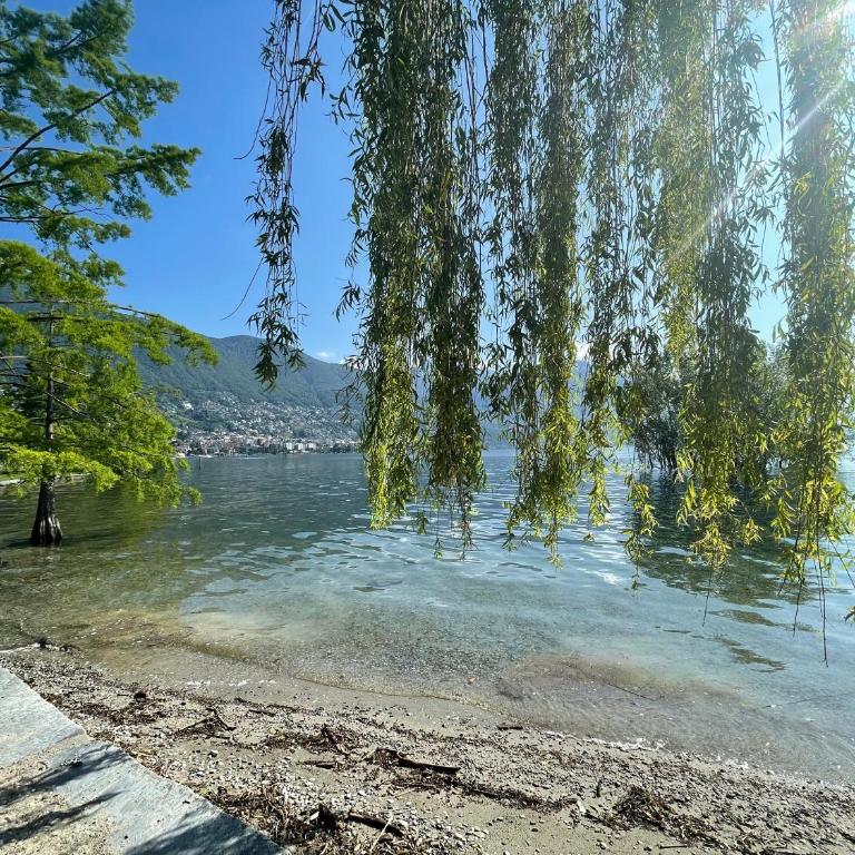 Locarno: Casa Lido - Apartamento de 1 dormitorio - 15