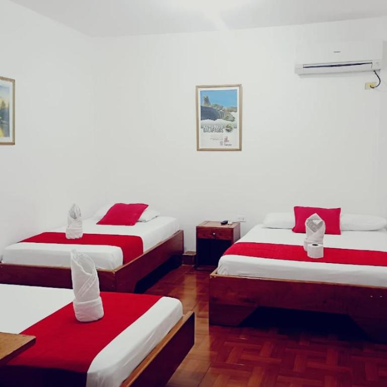 Hostal El Pinzón - Standard Quadruple Room - 2