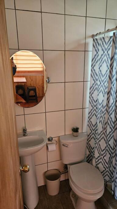 Loft - Vista Curanipe - Apartamento de 1 dormitorio - 6