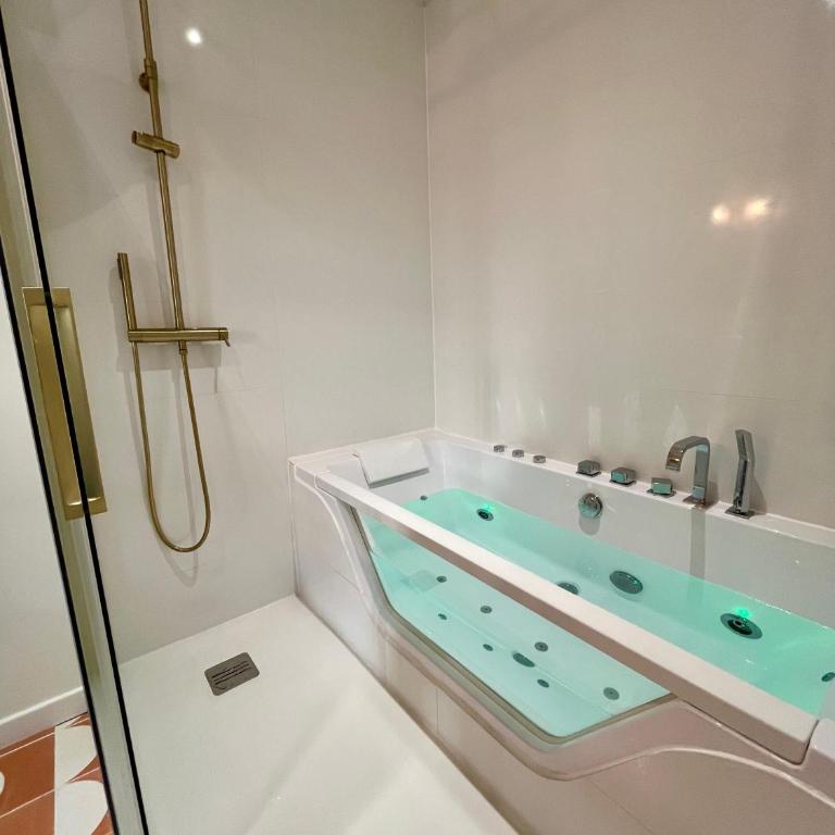 Le Bellegarde - hypercentre et jacuzzi - Appartement 1 Chambre - 12