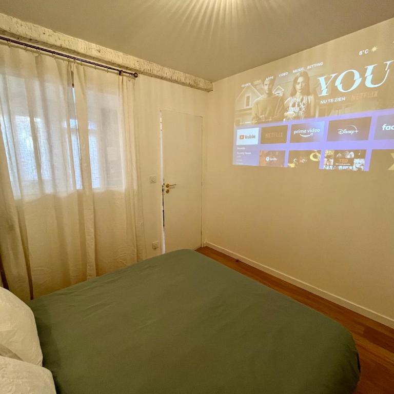 Le Bellegarde - hypercentre et jacuzzi - Appartement 1 Chambre - 4