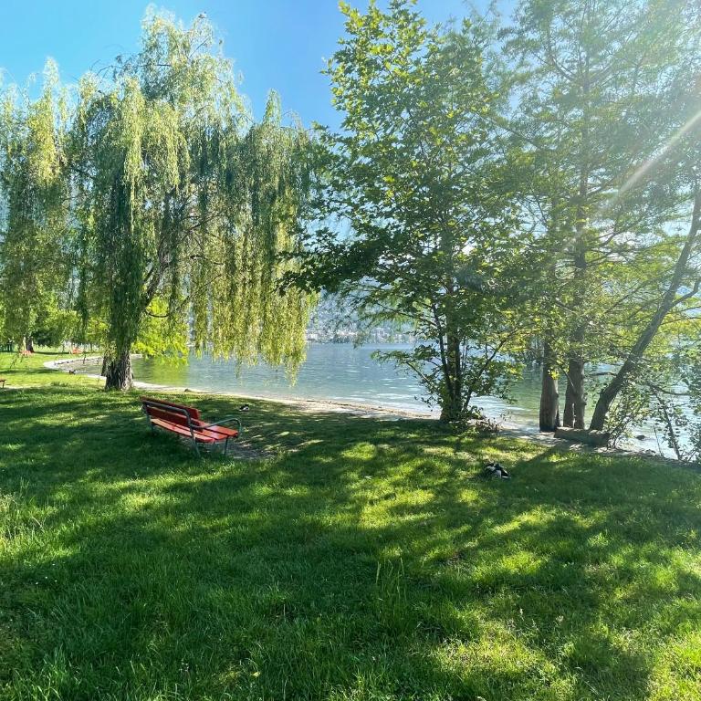 Locarno: Casa Lido - Apartamento de 1 dormitorio - 7
