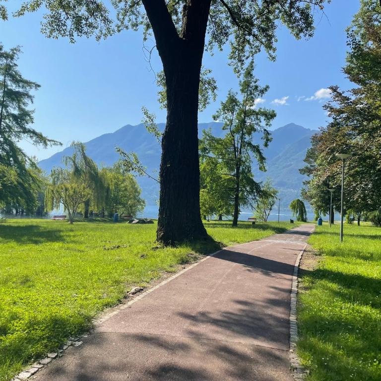 Locarno: Casa Lido - Apartamento de 1 dormitorio - 17