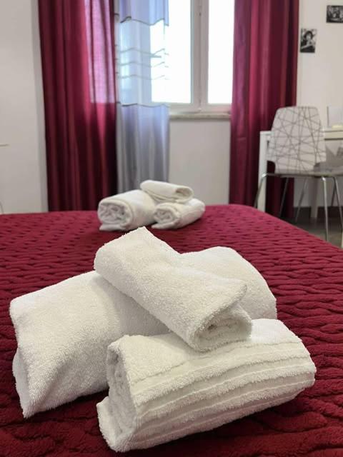 La finestra sul Vesuvio - Appartement 1 Chambre - 12