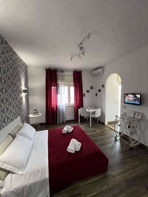 La finestra sul Vesuvio - Appartement 1 Chambre - 13