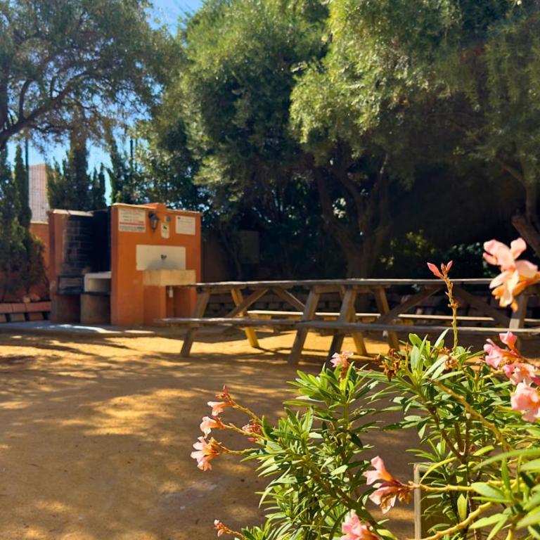 Ático a 50m del mar. Parking Gratis. A/C - Apartamento de 3 dormitorios - 24