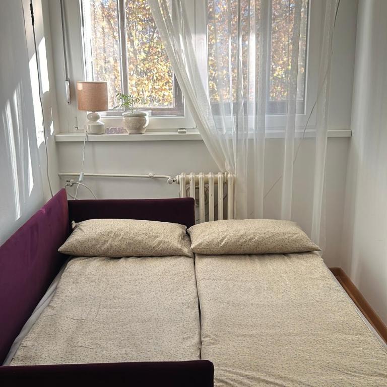 Surya - One-Bedroom Apartment - 26