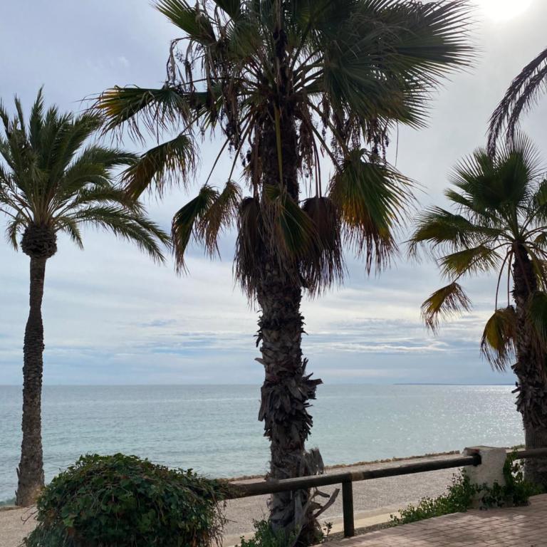 Seaview Apartman Santa Pola - Apartamento de 2 dormitorios - 12