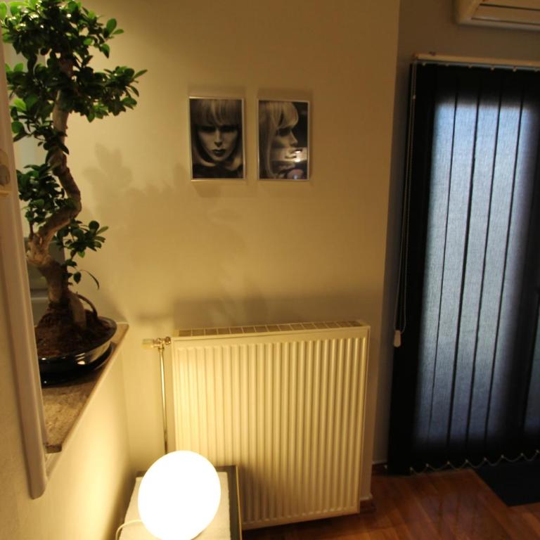 Njegoševa Presidential Suite Vračar - Deluks Apartman s 1 Spavaćom Sobom - 27