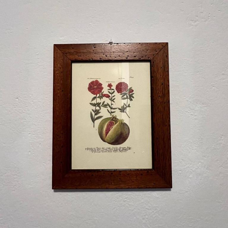 Appartamento Il melograno - Apartamento de 2 dormitorios - 16
