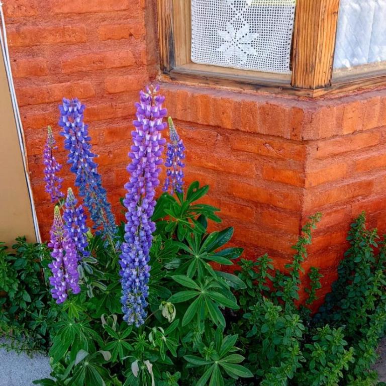 Anlupa casa - Three-Bedroom House - 4