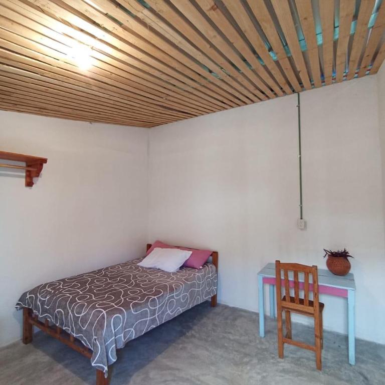 Casa de los gatos - Double Room with Shared Bathroom - 1
