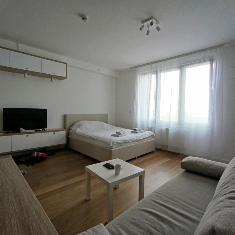 Stela apartment - Apartman sa 1 Spavaćom Sobom - 9