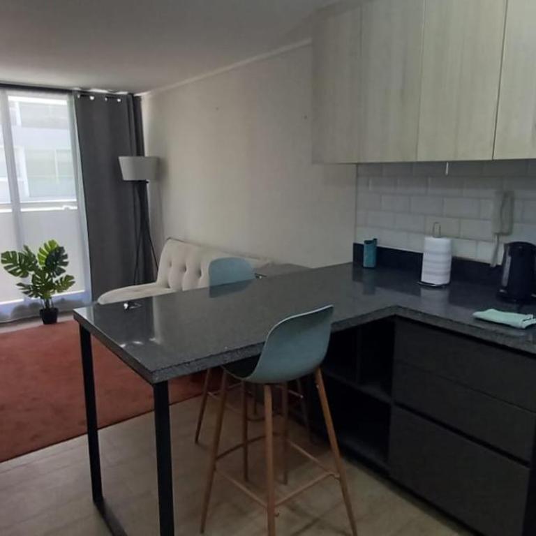 Departamento Santa LuciaLindo depto con check Flexible - Apartamento de 1 dormitorio - 13