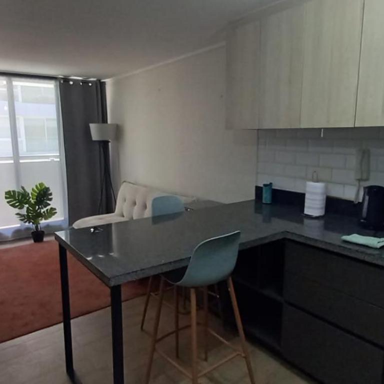 Departamento Santa LuciaLindo depto con check Flexible - Apartamento de 1 dormitorio - 16