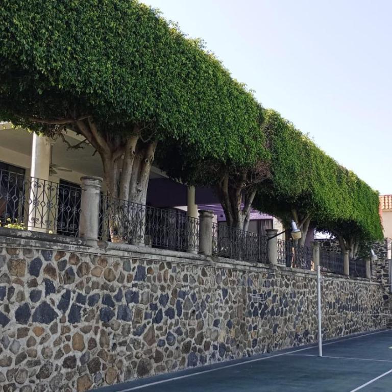 CASA MORADA 24 Personas alberca climatizada Burgos Cuernavaca - Casa - 17