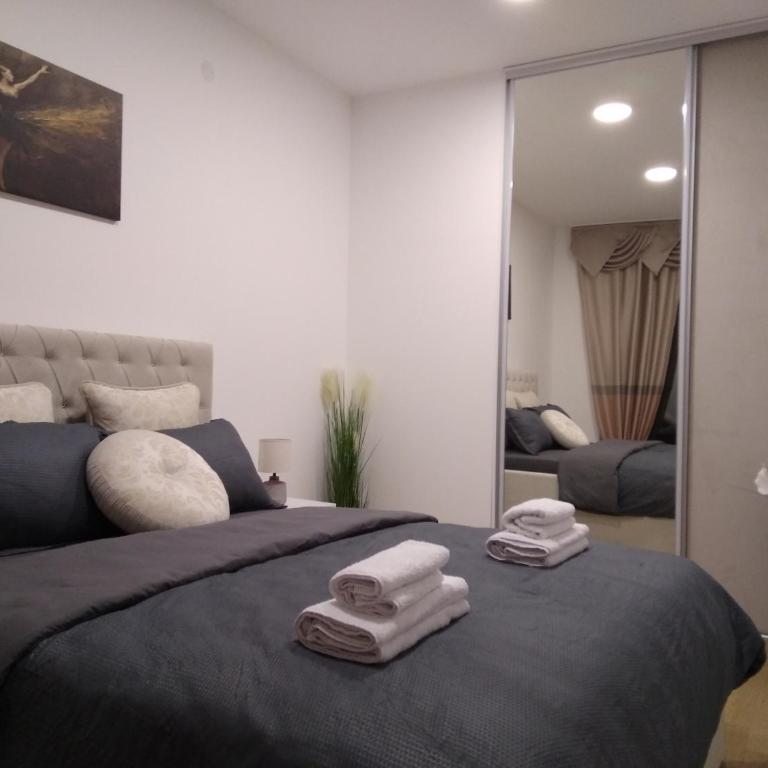 Emanuilo Apartman - Apartman sa 1 Spavaćom Sobom - 3