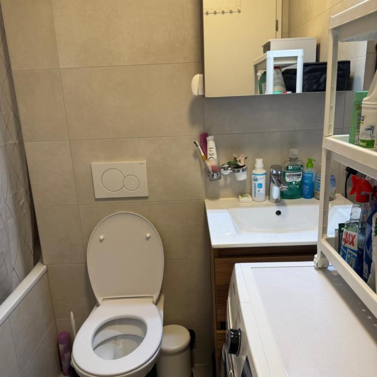 Apartamento Ginebra ch - Appartement 1 Chambre - 8