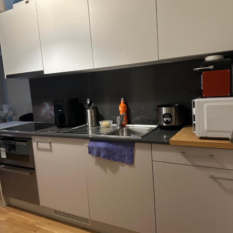Apartamento Ginebra ch - Appartement 1 Chambre - 6