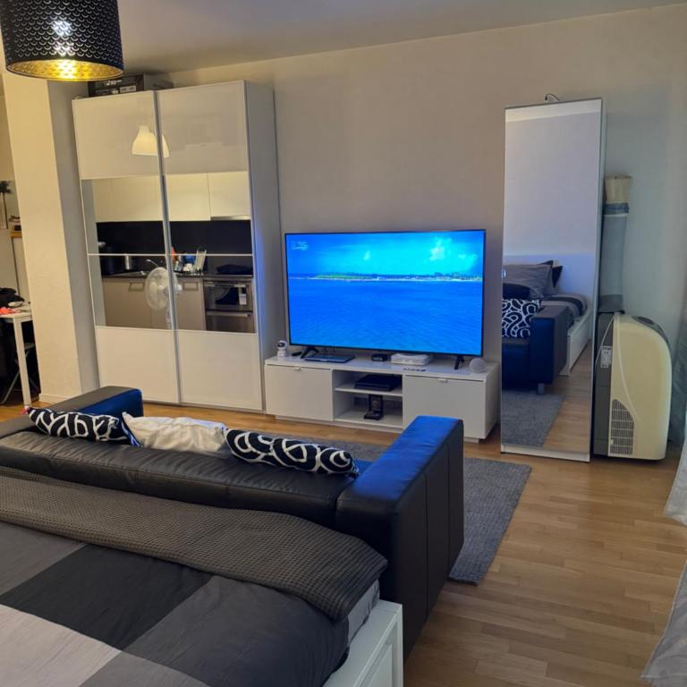 Apartamento Ginebra ch - Appartement 1 Chambre - 1