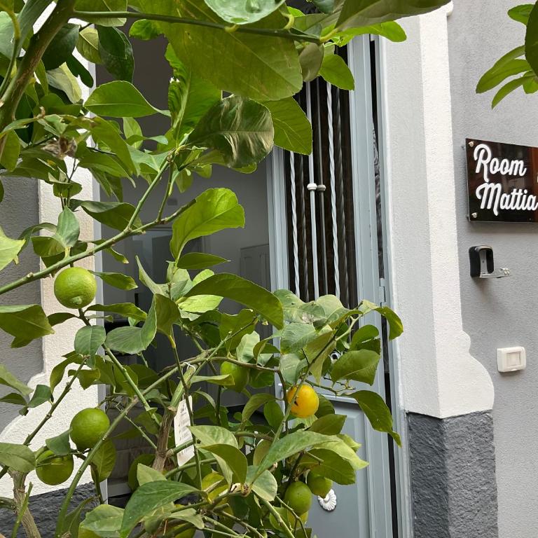 Alle porte del Castello 23 - One-Bedroom Apartment - 16