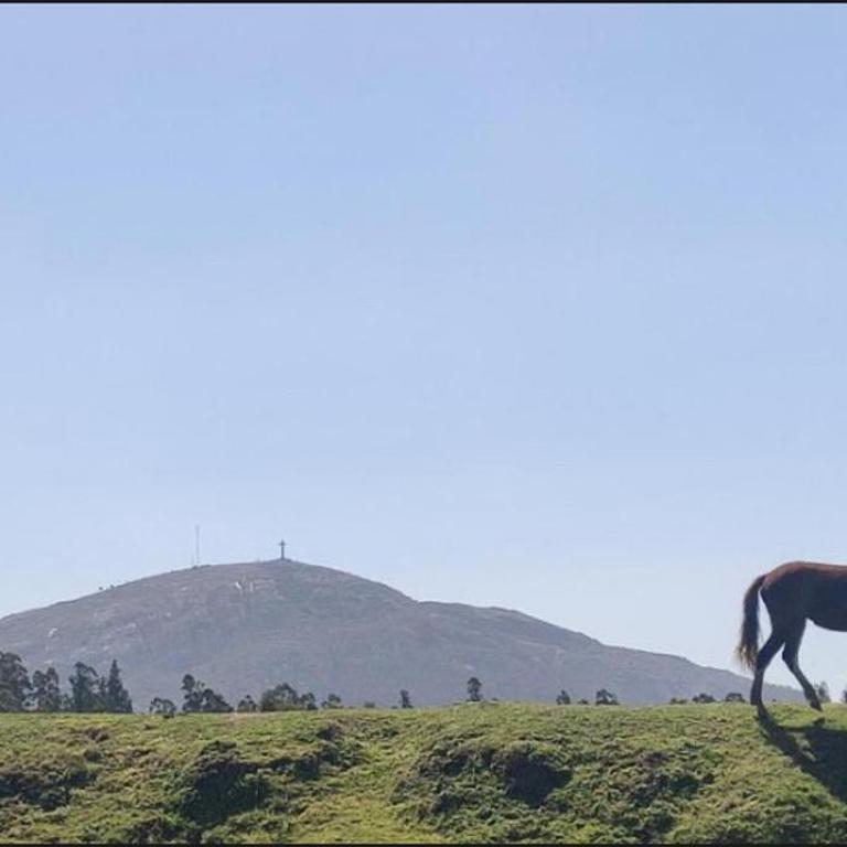 La pausa - One-Bedroom House - 8