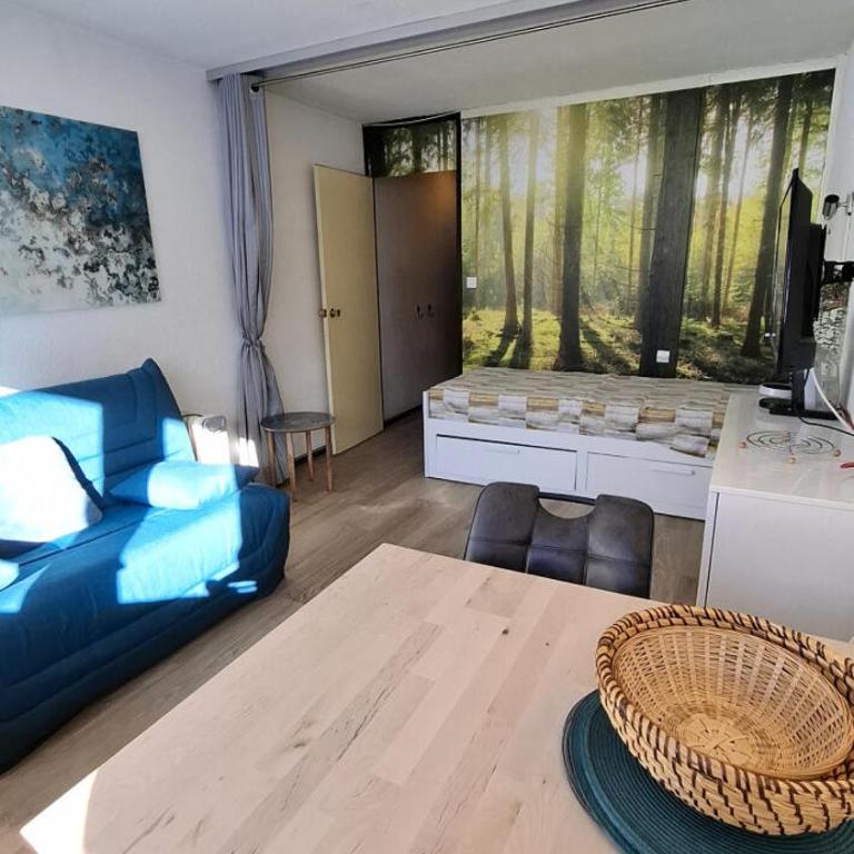 Résidence Le France - Studio vue pistes MAE-1051 - Studio - 7