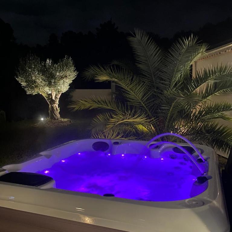 Magnifique villa avec piscine, Jacuzzi et Baignoire Balnéo - Villa - 31