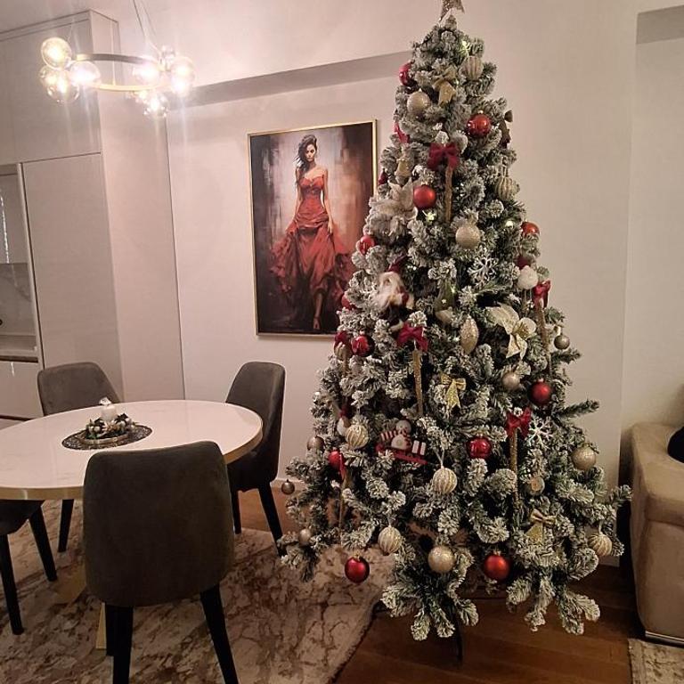 Palata Gold Apartment - Apartman sa 1 Spavaćom Sobom - 7