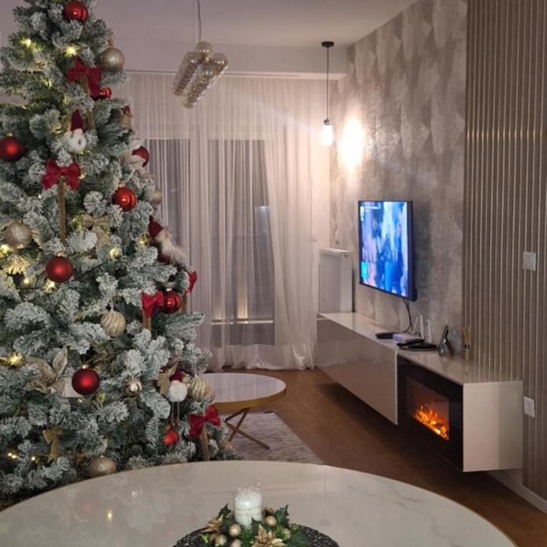 Palata Gold Apartment - Apartman sa 1 Spavaćom Sobom - 3