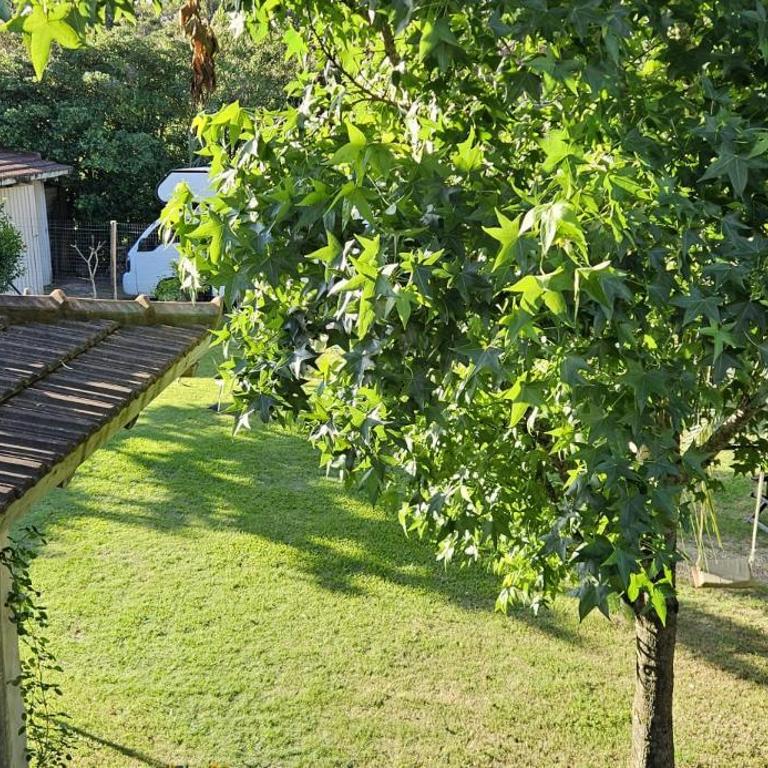Hermoso Refugio en el Corazon de La Barra - Vacation Home - 17