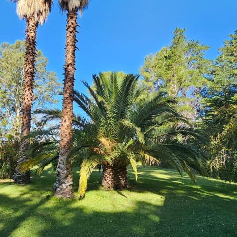 Cabañas Oasis - Villa de 1 dormitorio - 22