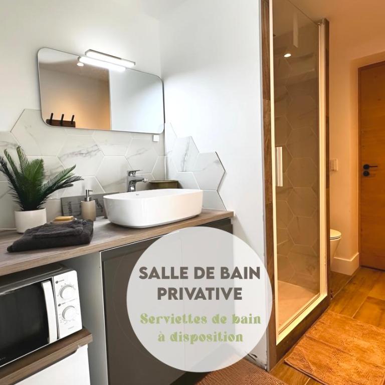 Luna Monkey, Chambre & Terrasse privée, Bourgoin Centre - Chambre Double avec Salle de Bains Privative - 4