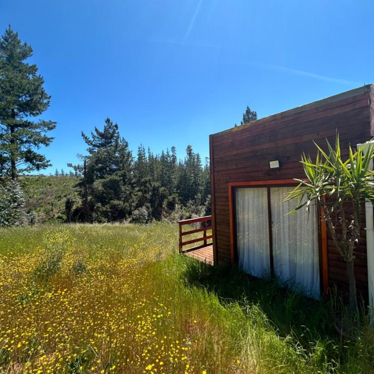 Casa Eco Bosque - Four-Bedroom Vacation Home - 9