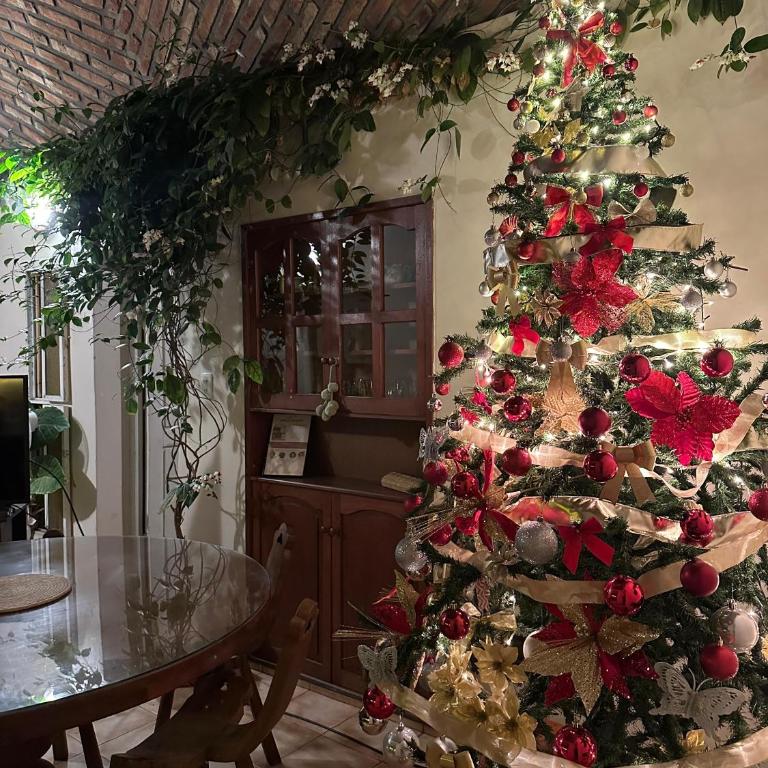 Casa Los Nogales - Casa de 2 dormitorios - 23