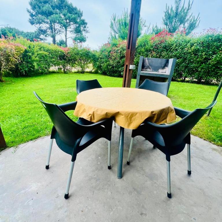 Monoambiente Hauben - Apartamento de 1 dormitorio - 13
