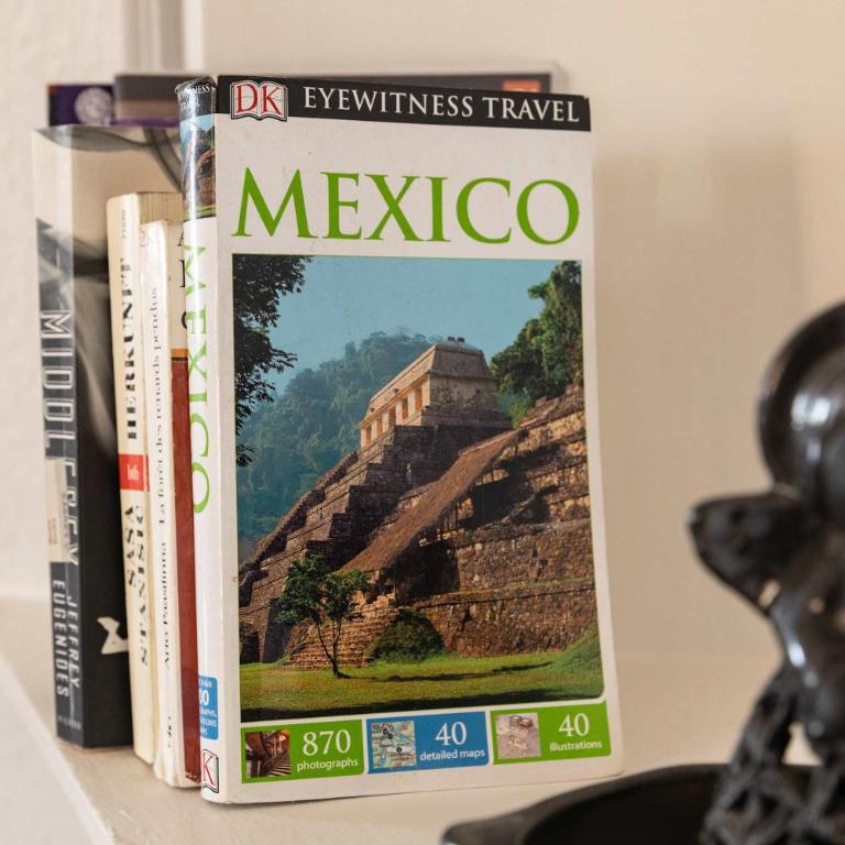 Bohemian Loft Xochimilco Neighborhood - 1 Bed - Apartamento - 10