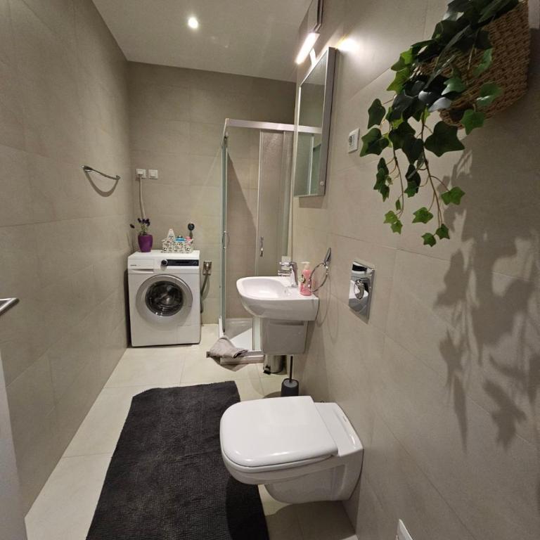 Apartman 65-west - Apartman sa 1 Spavaćom Sobom - 13