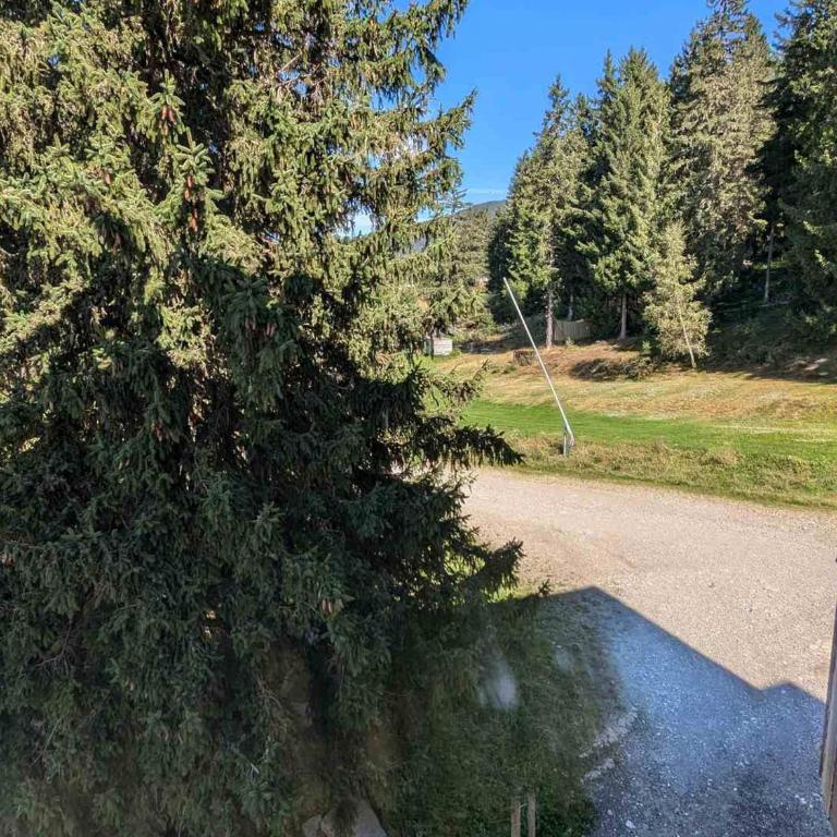 Studio cabine cosy pour 4 pers, au pied des pistes - Appartement 1 Chambre - 9
